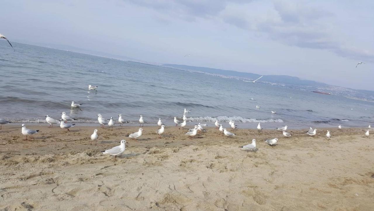 Rena'S Traditional Aegean House By The Sea Peraía エクステリア 写真