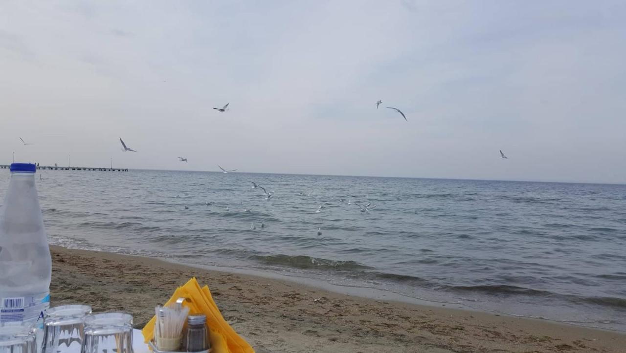 Rena'S Traditional Aegean House By The Sea Peraía エクステリア 写真