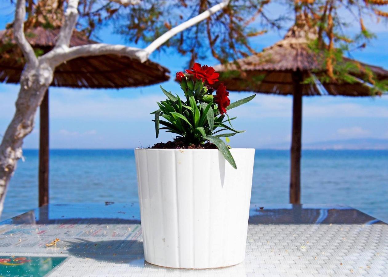 Rena'S Traditional Aegean House By The Sea Peraía エクステリア 写真